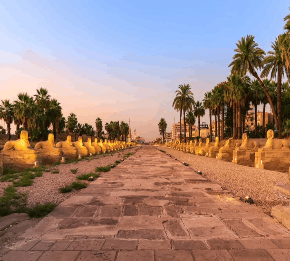 luxor-city-sphinx-alley-evening-view-egypt_400112-691