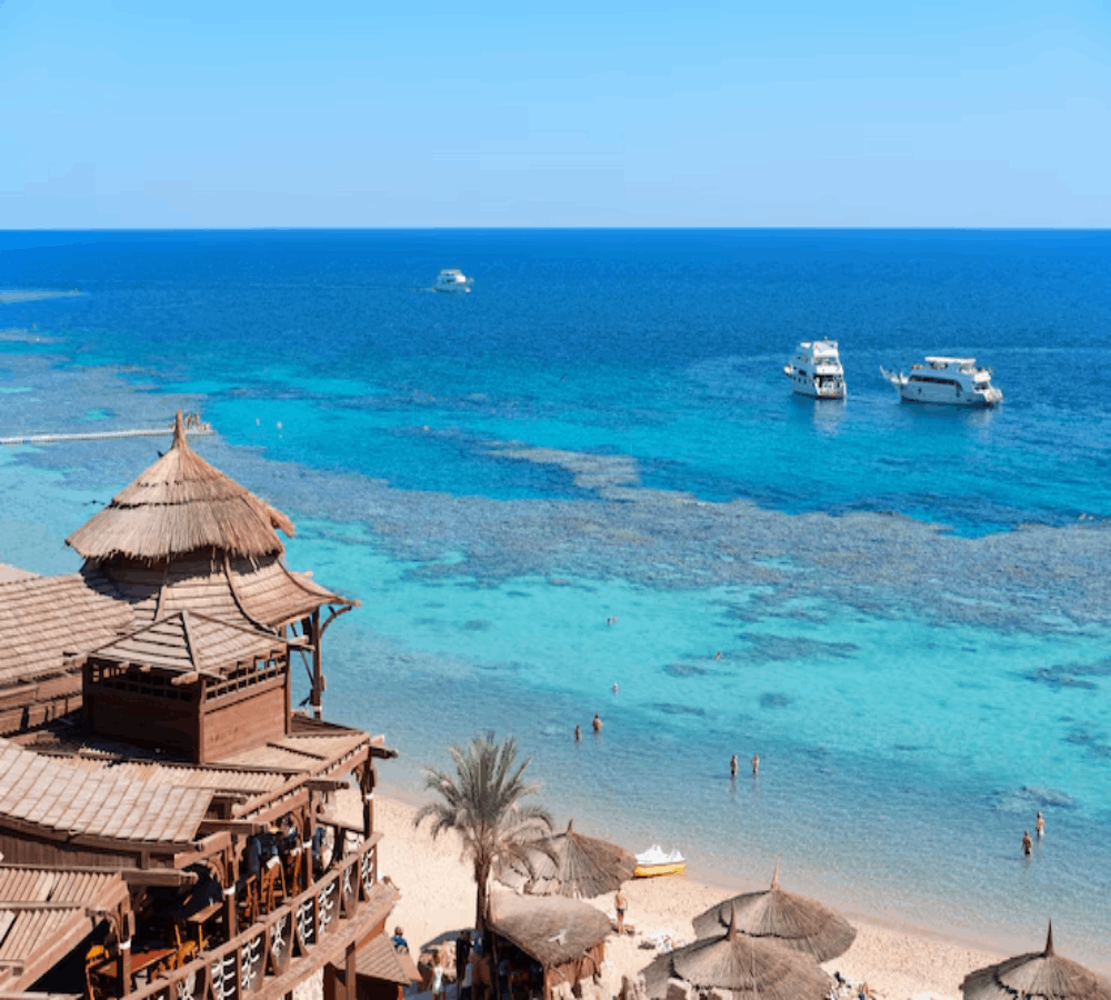 restaurant-sea-shore-with-coral-fish-underwater-split-view-water-surface_152162-480